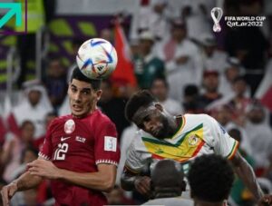 قطر - السنغال