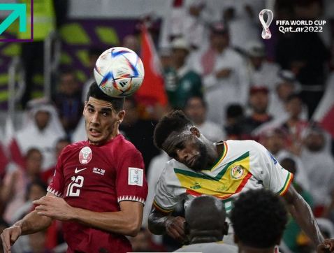 قطر - السنغال